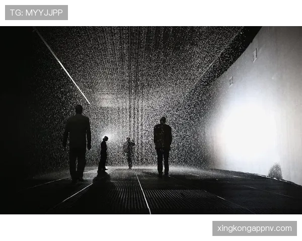 巴尔科拉终结效率具体体现在哪些方面，存在哪些改进空间？